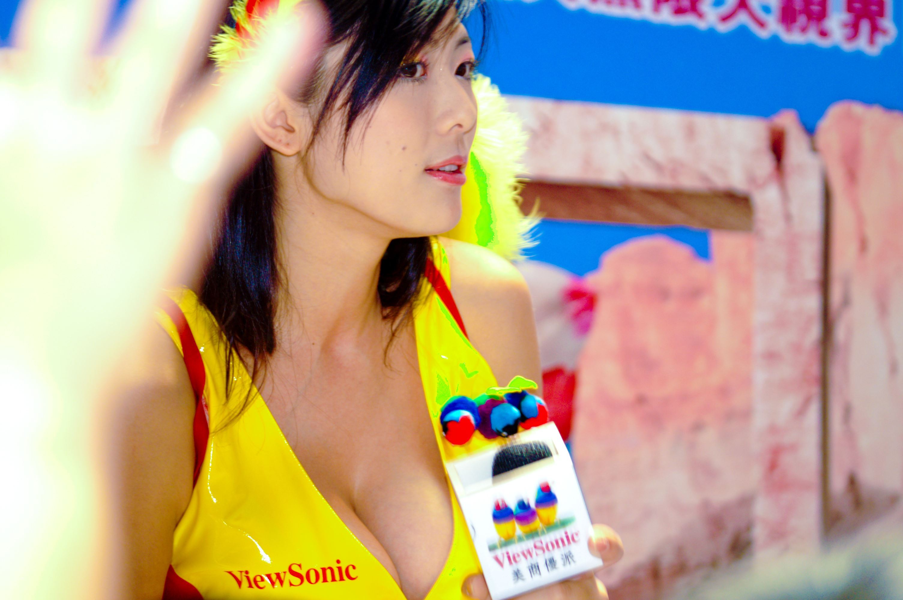 2006 Taipei Computer applications show girl